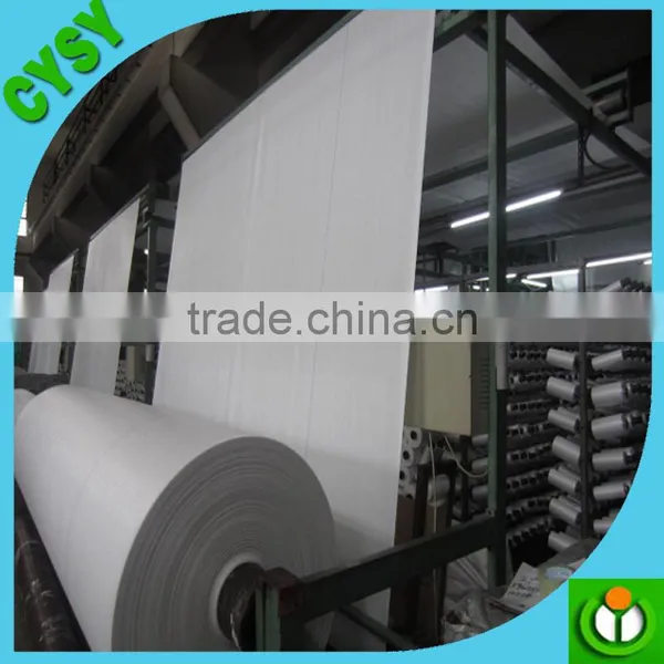 Greenhouse Ground Cover Plastic Woven pp Weed Control Mat for Sale photo-6