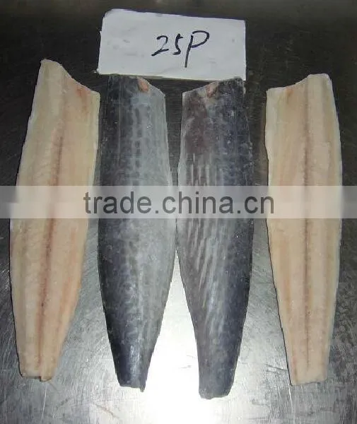 Frozen Spanish Mackerel Fillet photo-5