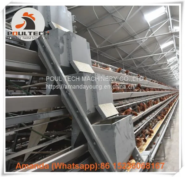 Brazil A Type Battery Laying Hen Cage & Chicken Cage With 90-200 Birds for Poultry Farm photo-3