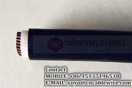 0.6/1 kV Single Core Power Cable (YJV) photo-2