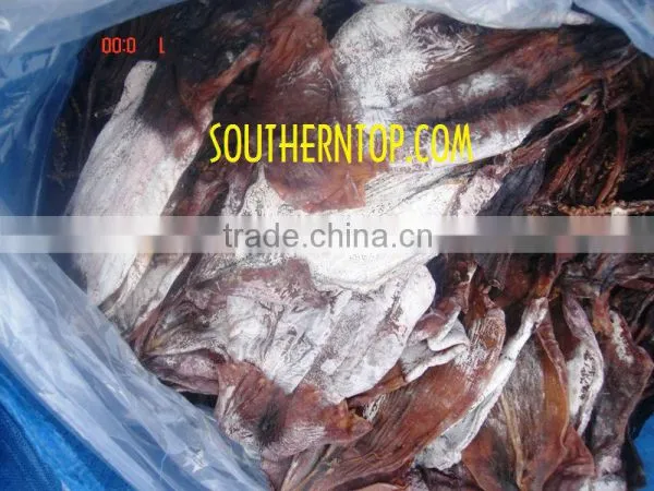 Dried Squid