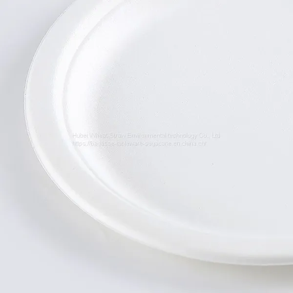 Disposable Biodegradable 9INCH PLATE Take Away Sugarcane photo-5