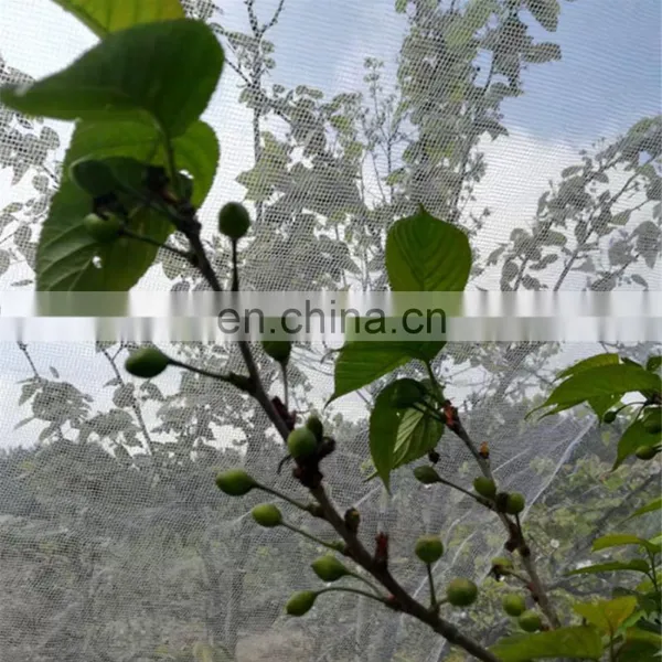 Agricultural HDPE Anti-insect Net photo-5