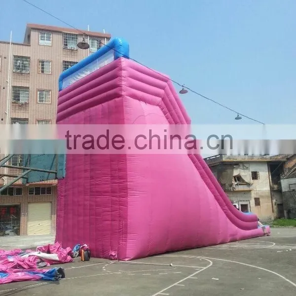 2015 Newest QI QI PVC Trapualin Inflatable Water Slides for Kids or Adults photo-2
