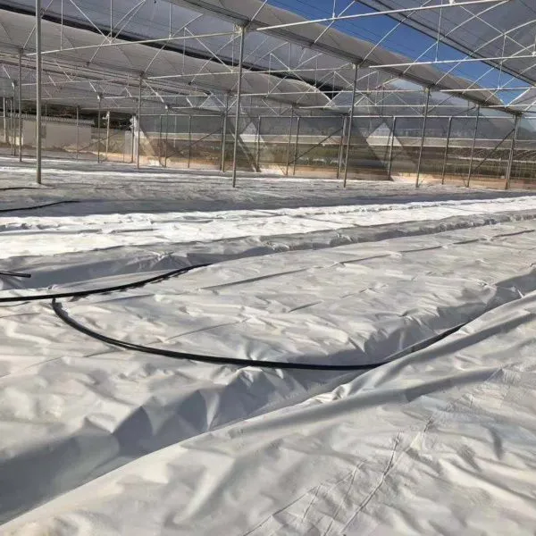 Black White Greenhouse Film Light Deprivation Poly Film Agriculture Blackouts Film photo-4