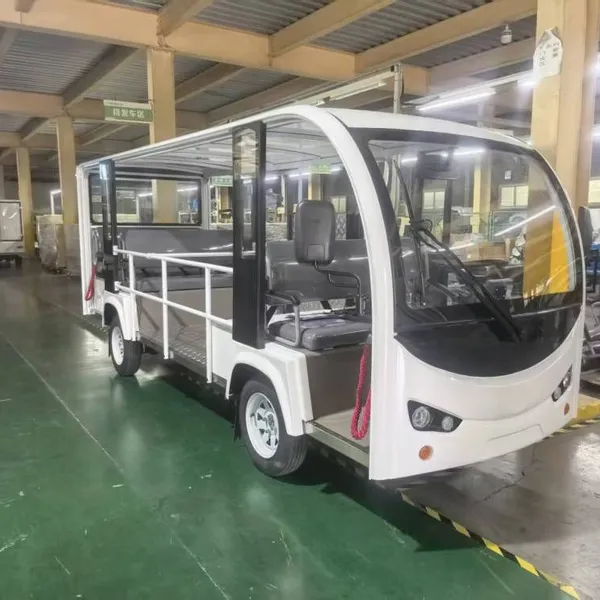 Electric Sightseeing Wheelchairs for Scenic Spots / Electric Sightseeing Vehicles With Lifting Tailgates for the Disabled
