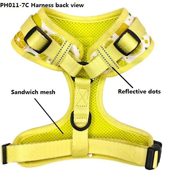 Pet Wear Set With Recycled Materials photo-2