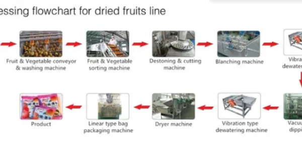 Dehydrated Fruit Vegetable Dried Strawberry Processing Line photo-5
