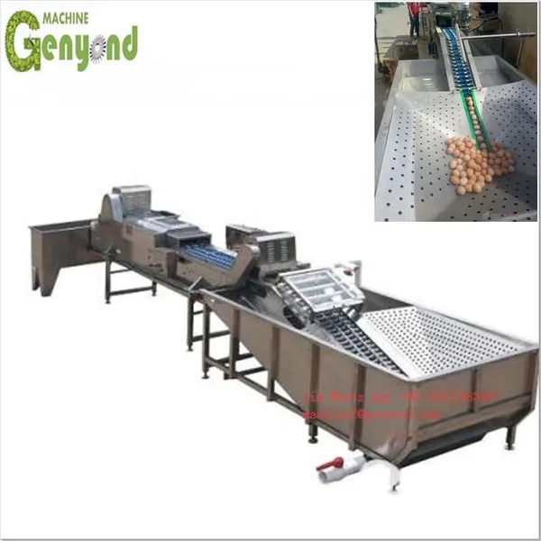 Full Automatic 8000 Pieces Per Hour Egg Washing Separation Machine Production Line photo-4