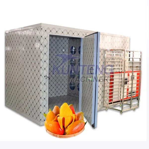 mango Drying Machines Processing Plant mango Drying Unit mango Drying Machine Electric EPC