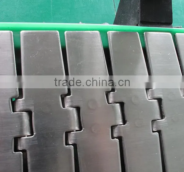 Multifunctional Stainless Steel Chains Conveyor photo-6