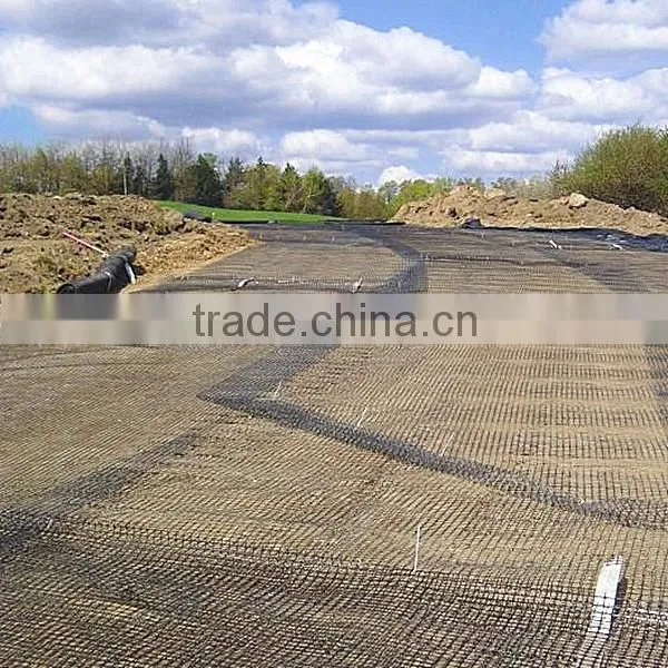 Plastic Geogrid photo-5