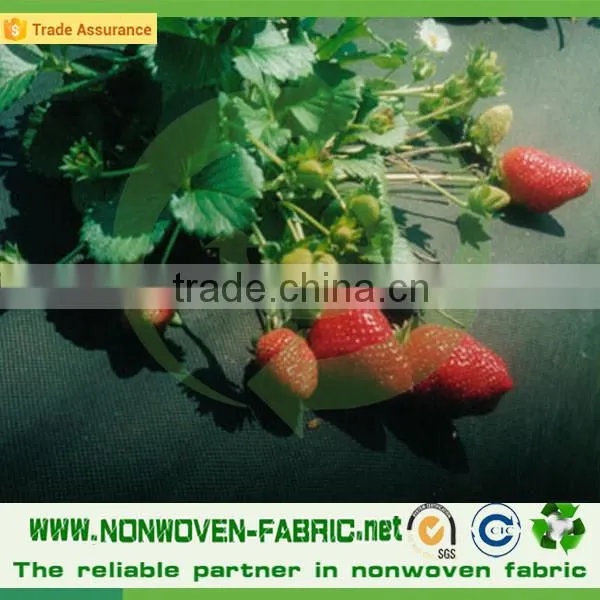 Weed Control Fabric, Ground Cover, PP Spunbond Non Woven Landscape Fabric photo-3