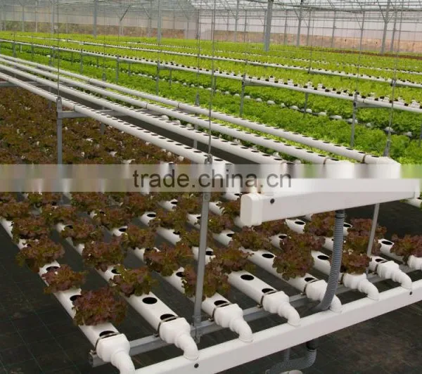 Europe Indoor Hydroponic Growing Kit for Backyard Greenhouses and Home Hydroponics photo-3