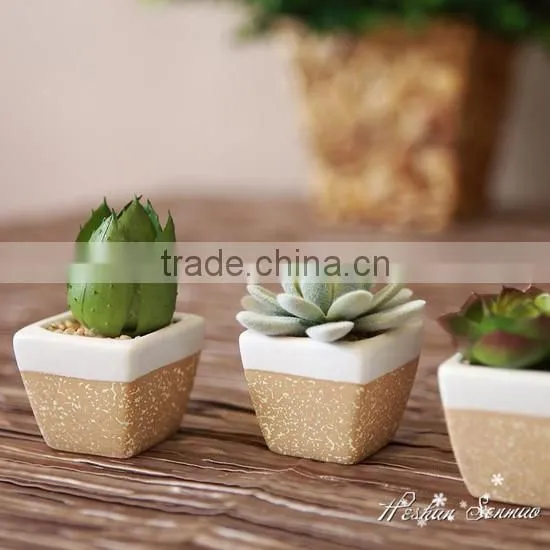 Hot Sale Indoor Decorative Competitive Price Artificial Potted Succulents With Competitive Price photo-2
