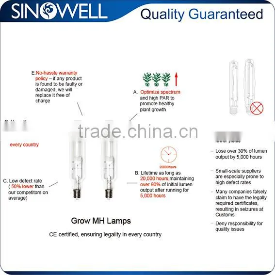 China Top 3 Manufacturer Hydroponics 250 400 600 1000 Watt MH Grow Light photo-2