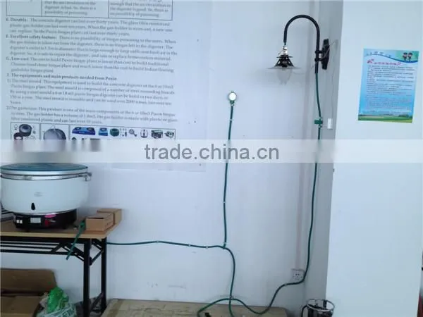 2015 New Products Biogas Fired Water Heater photo-6
