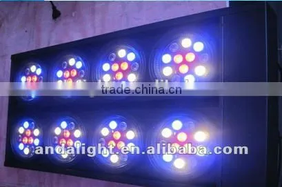2016 High Quality Led the Lamp 8 Eye 10w RGBW 4in1 LED Beam RGBW Light photo-4