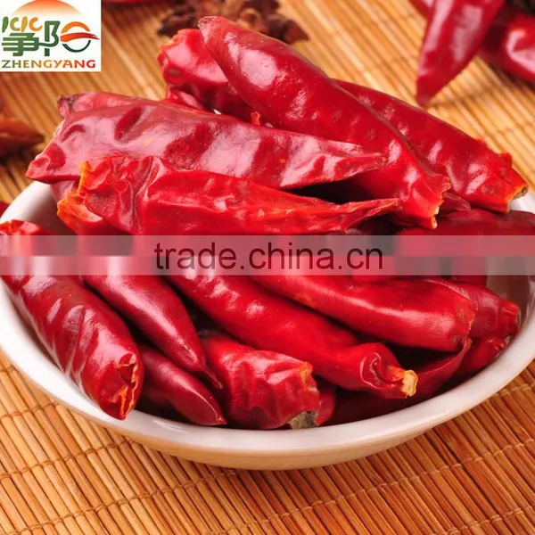 Chaotian Red Chilli Chinese Manufacturer Supply Hot Chilly photo-5