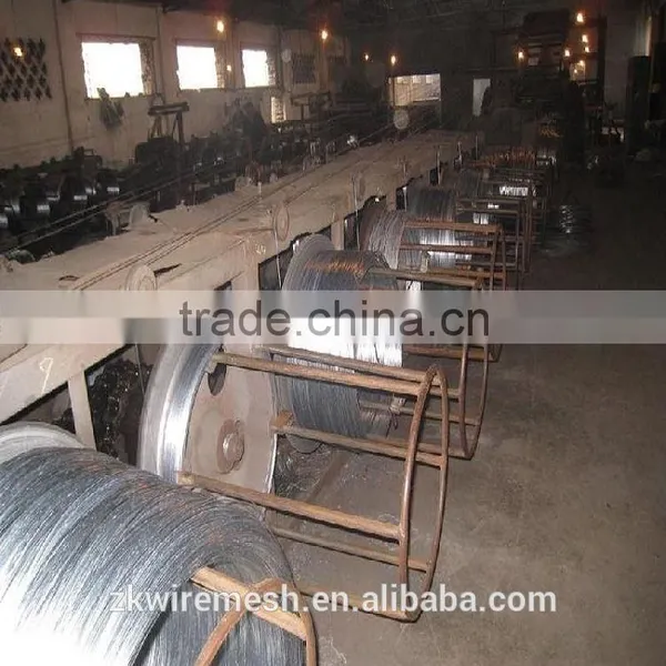 Straight Cut Wire (exporter &supplier ) photo-4