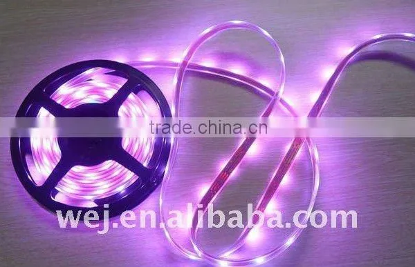 Waterproof flexible color changing Led rope light 5050