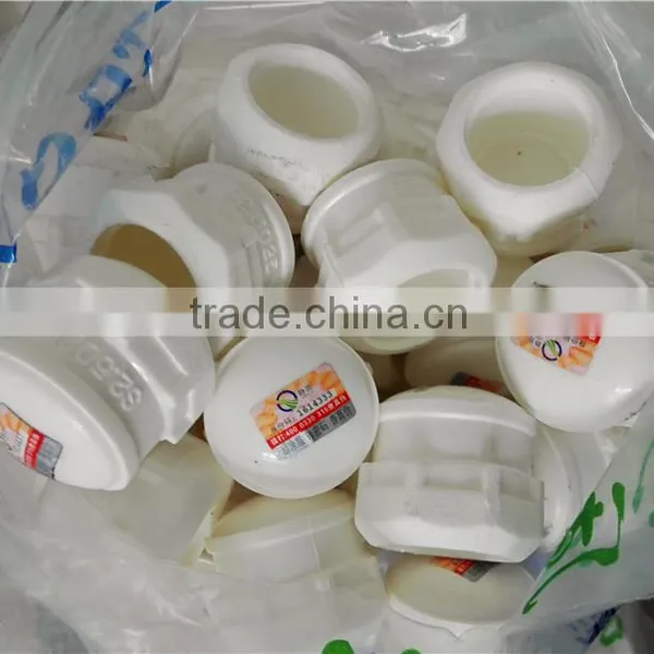 cheap and fine PPR pipe fitting plug