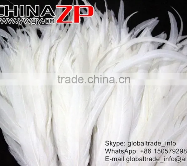 Top Supplier ZPDECOR Bulk Sale 35-40cm Length Natural Bleached White Fully Dyed Rooster Chicken Feathers photo-3
