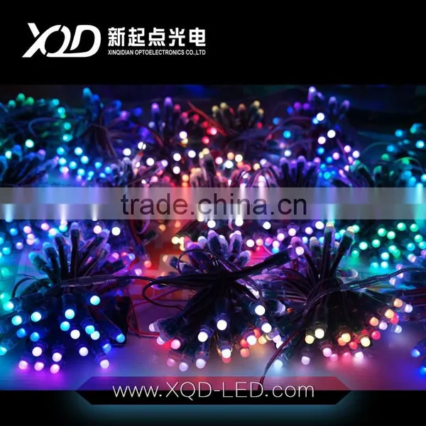 Full Color Waterproof WS2811 LED Pixel Light Decoration Light Christmas Light photo-4