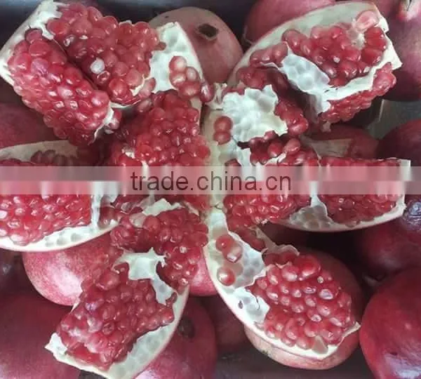 New Arrival of Fresh Pomegranate Fruit Supplier in India / Malaysia / Singapore / Dubai / Maldives / Sri Lanka photo-4