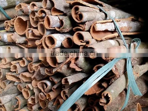 VIETNAM CASSIA / CINNAMON photo-6