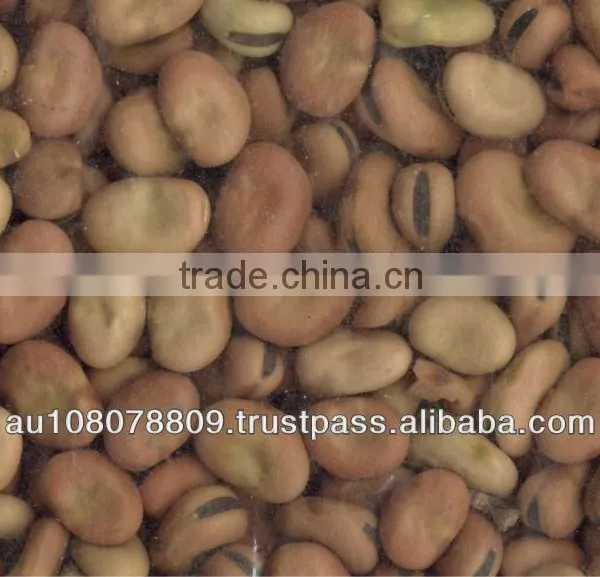 RANA Faba Beans