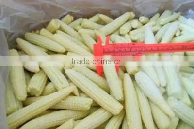 2016 IQF Frozen Baby Corn Yellow Corn Price