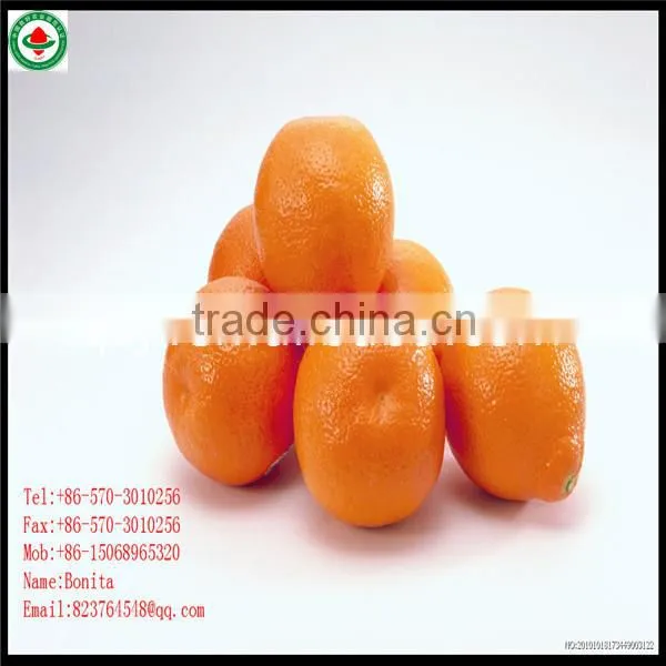 Sugar Mandarin Oranges