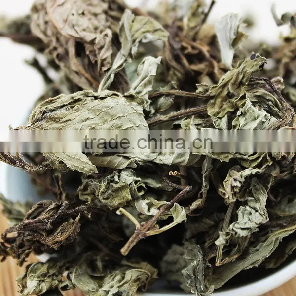 Dried Mint Leaf,spearmint Tea,organic Spearmint Tea photo-4