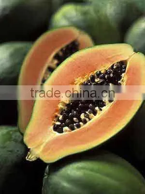 High Quality Papaya Extract Powder