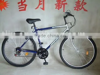 Mountain Bicycle