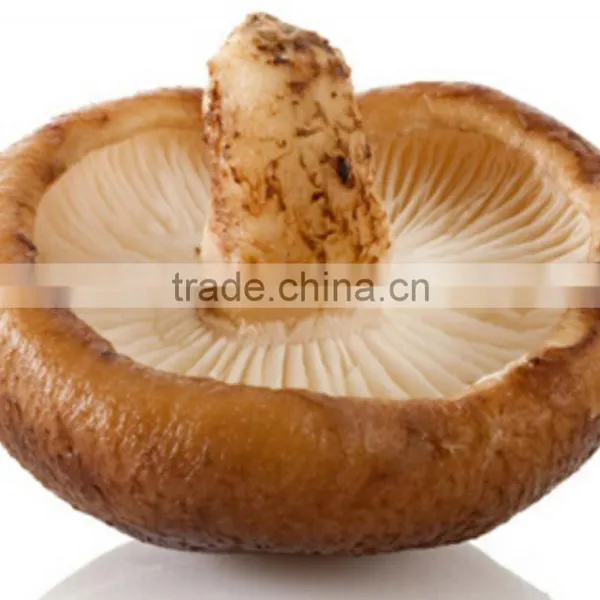 Lentinus Edodes/mushroom Champignon/champignon Mushroom photo-2