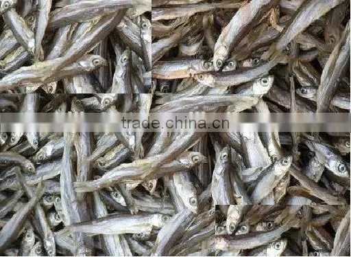 Anchovy Fish Meal for Sale photo-5