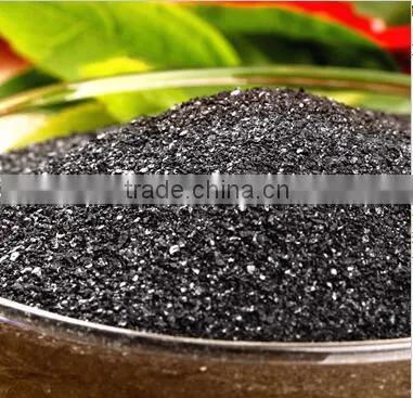 Seaweed Extract Powder photo-2