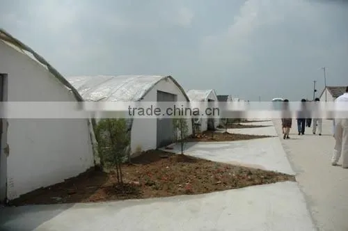 Agriculture Mulch Films ,perforated Mulch Film (with 2 or 4 Holes) photo-6