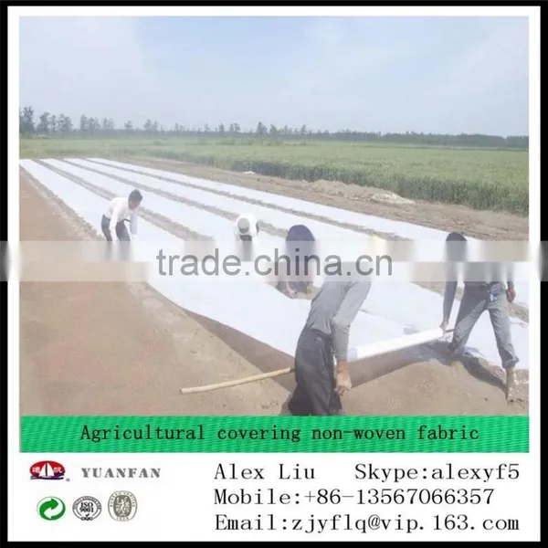 TNT Non Woven Fabric , Agriculture Useing pp Non Woven Fabric photo-4