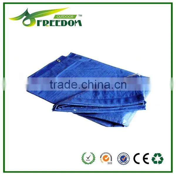 Excellent Bule Tarps for Coverings photo-6