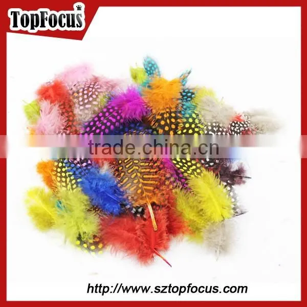 Cheap Dyed Guinea Fowl Wholesale Artificial Feathers for Carnival Costumes photo-4