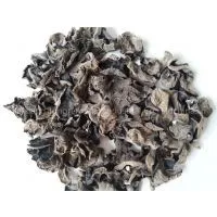Black Fungus