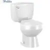 HT210 Siphonic Two Piece WC Closet Color For Choose Toilet