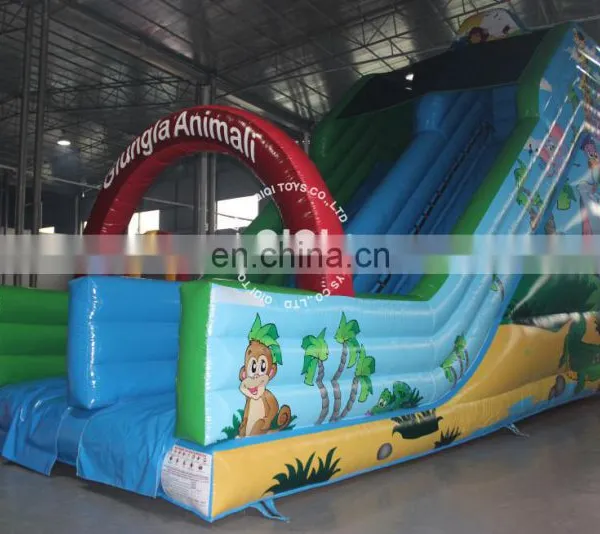 Inflatable Slip n Slide Used Commercial Water Slides for Kids and Adult photo-6