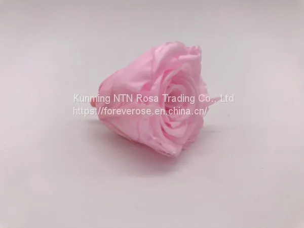Ever Lasting Rose Love Flower Wedding Festival Decoration photo-2