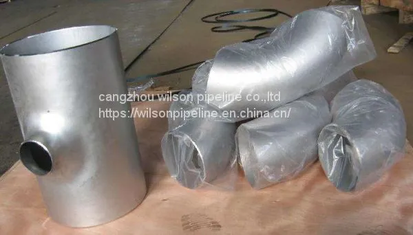 Ss304 Ss316l 304 Elbow/flange/tee/reducer/ Stainless Steel Pipe Fitting photo-3