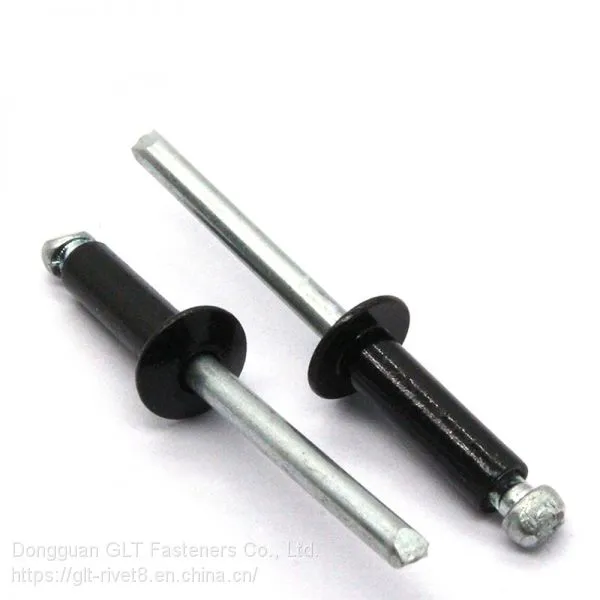 Painted Black Blind Rivets photo-4