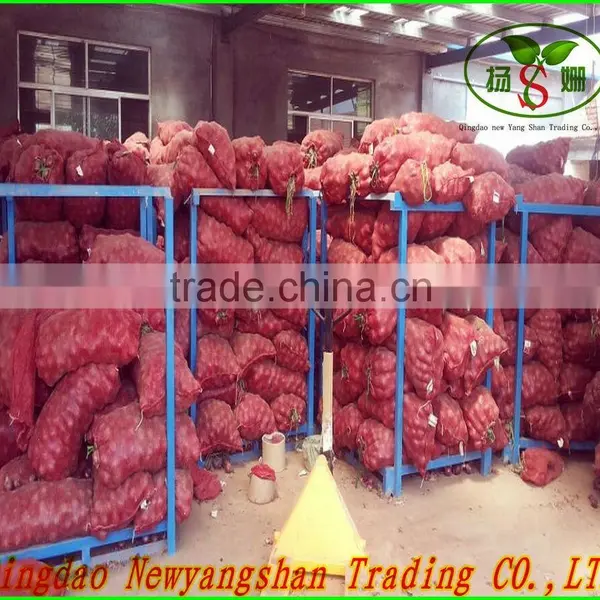 (CHINA) Red Dried Fresh Onion /Fresh Onion photo-4